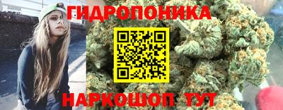 каннабис Сланцы