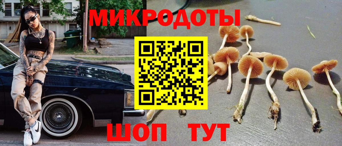 Псилоцибиновые грибы мицелий  Вход с VPN  Новочеркасск 